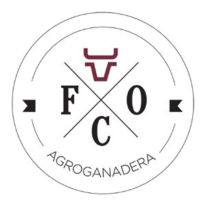 Logo FCO